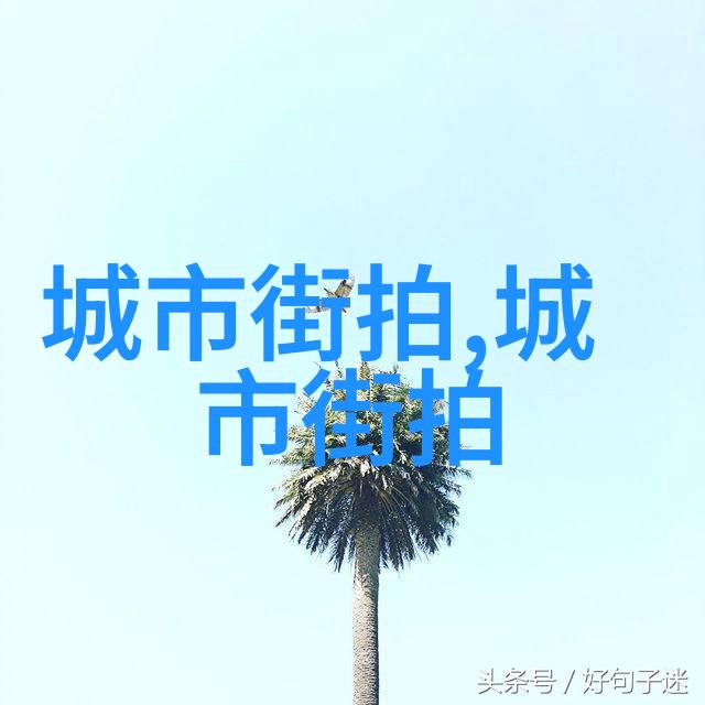 百莲凯花开一瞬间的传奇故事