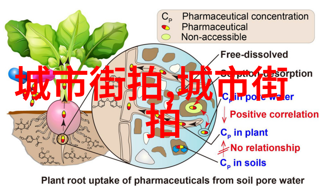 长城皮卡碧波荡漾的边疆行者