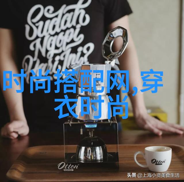 在家里装修时我应该优先考虑的是墙壁上的挂钩还是一个大屏幕的安装方案来放置我的新四千万像素屏幕呢