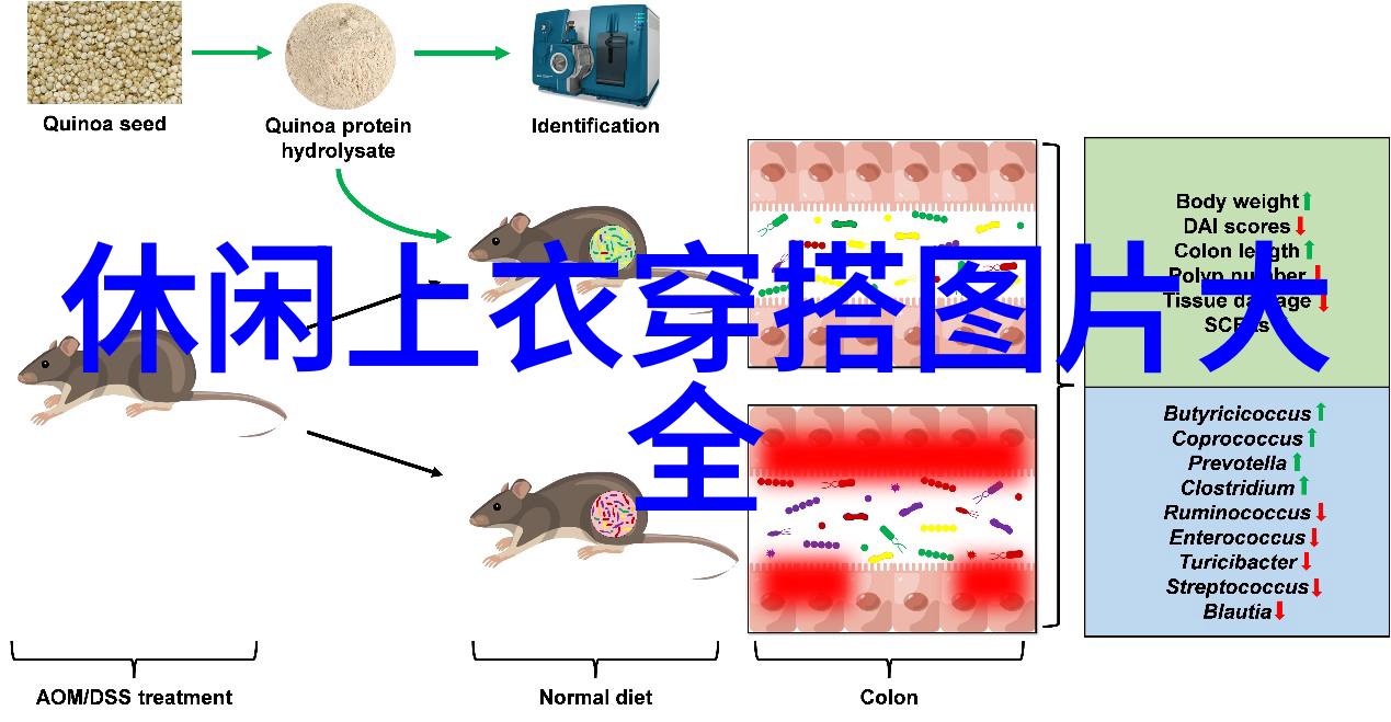 我自地狱来冒险者的逆袭故事