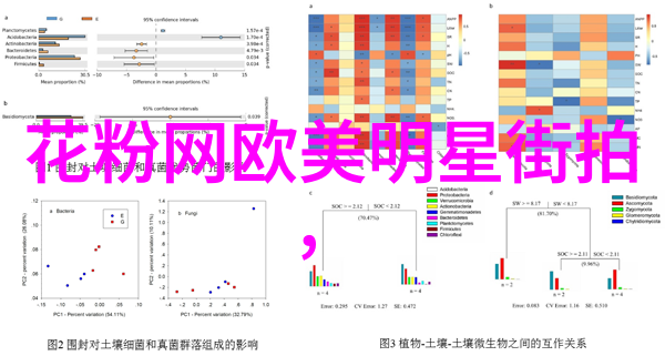 男生时尚穿搭技巧展现个性魅力