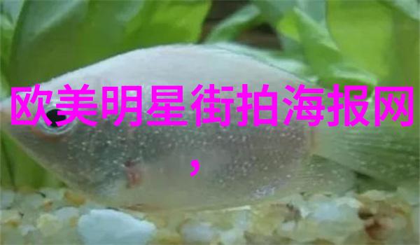 香港影片巨星刘德华新作票房惊喜刷新纪录登顶电影榜首