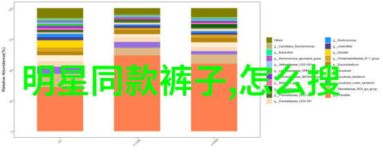 韩国娱乐圈中明星何时会成为公众的焦点