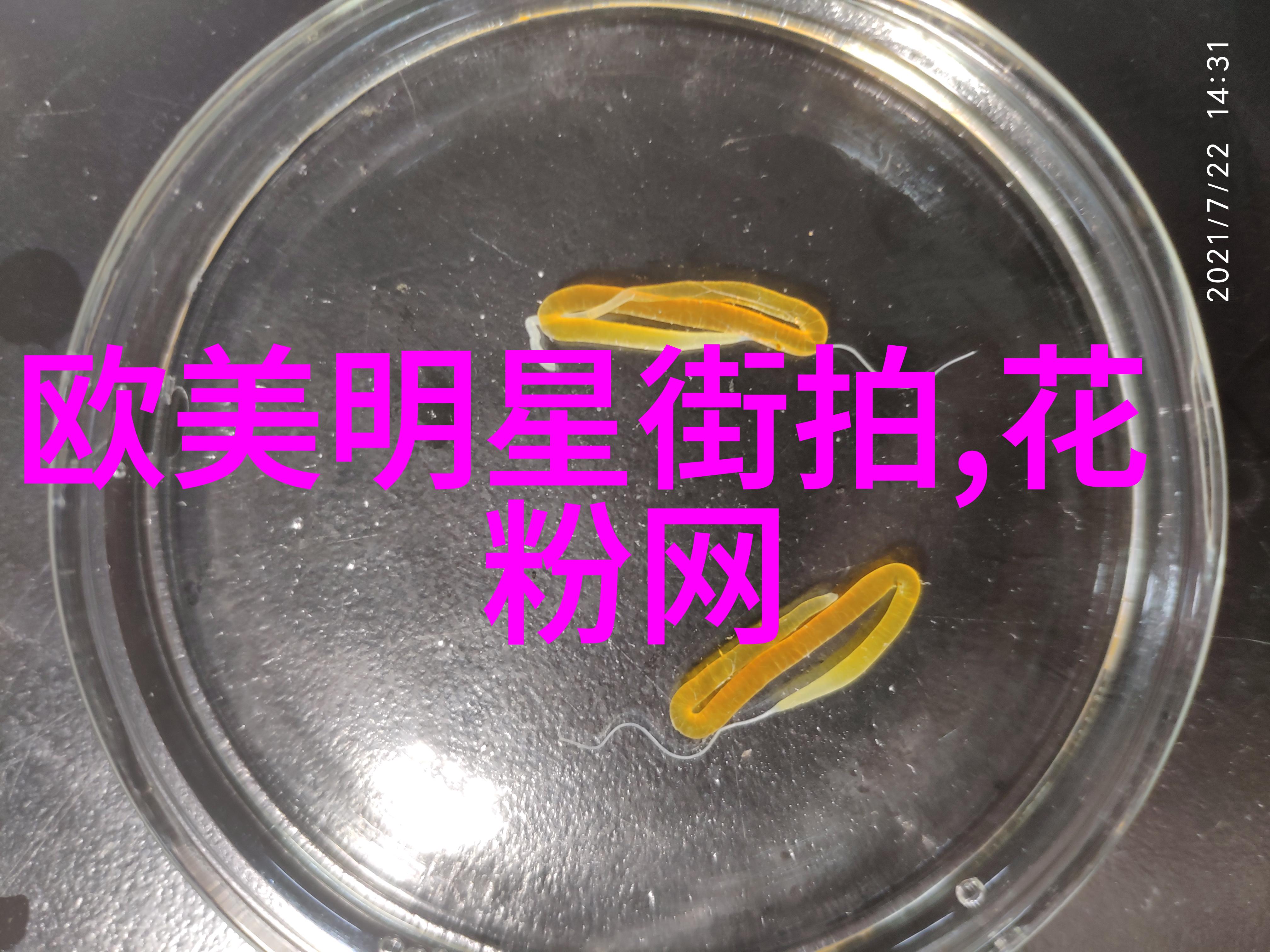 欧时力与现代社会的互动机制研究从技术驱动到文化融合的视角