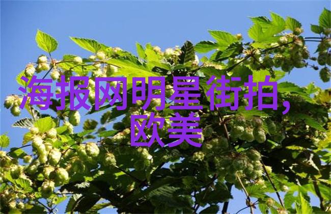 星光闪耀时尚界的明星搭配艺术欣赏