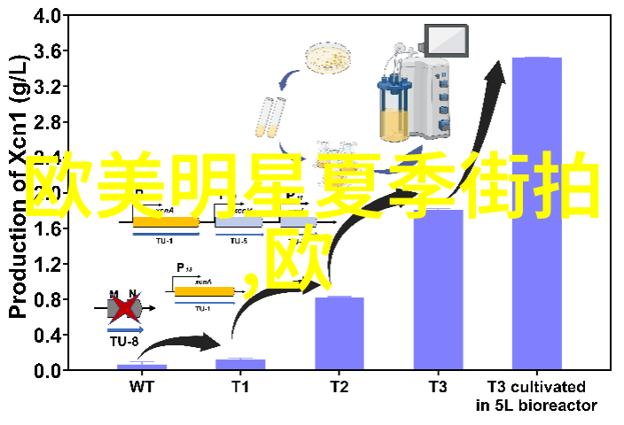 在欧洲和美国哪些城市成为了追求完美照片的明星首选