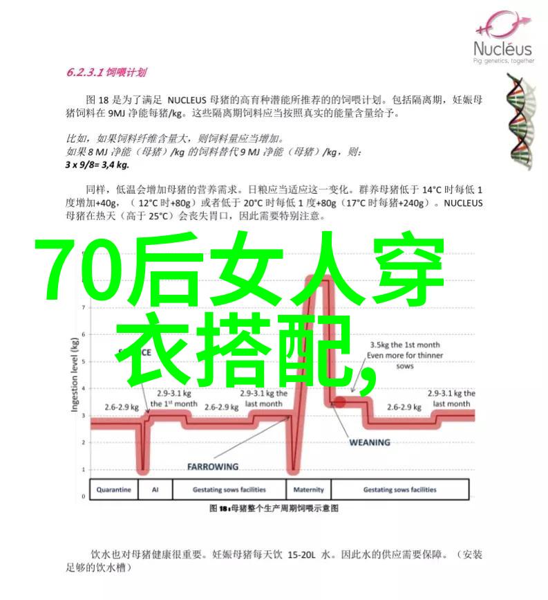 明星的衣服穿搭我是怎么学到的那些流行穿搭技巧