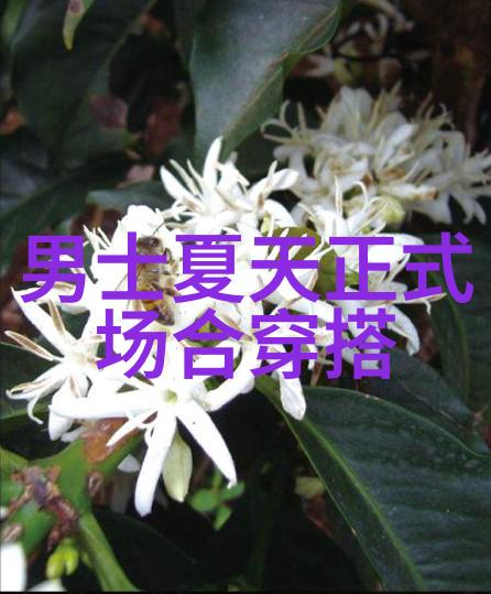 明星节目时尚秀场红毯造型