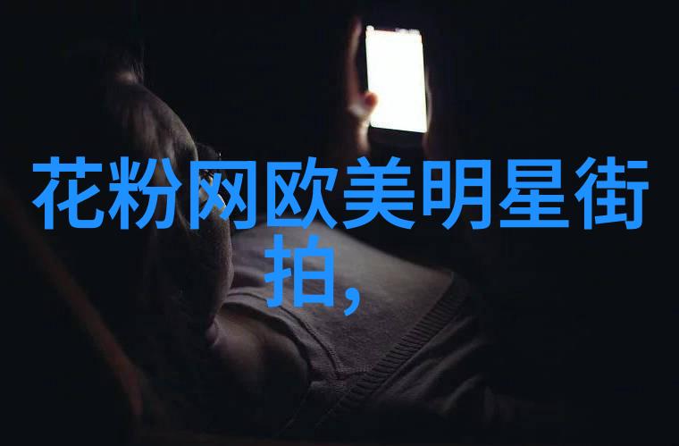 宫廷争斗中的宠儿庶妃专宠的荣耀与悲剧