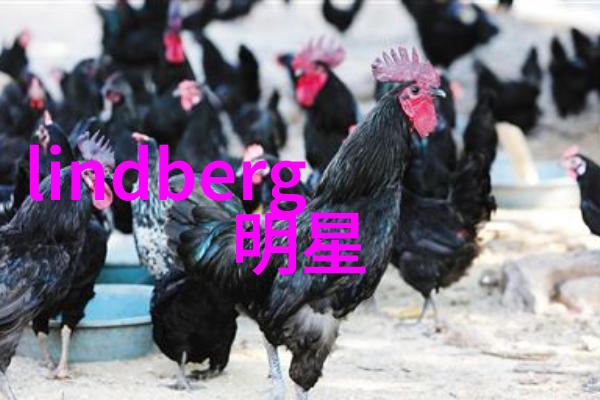 时尚女装搭配技巧全解析从基础到高级打造完美出行风格